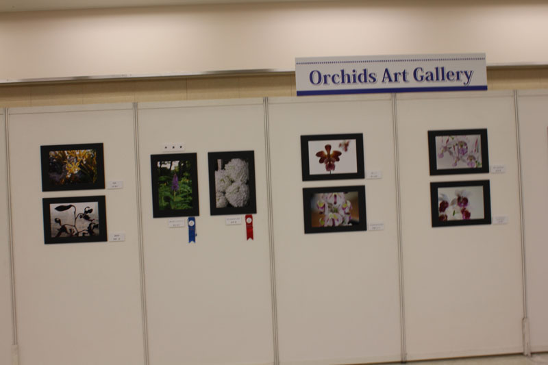 Orchids Art Gallery