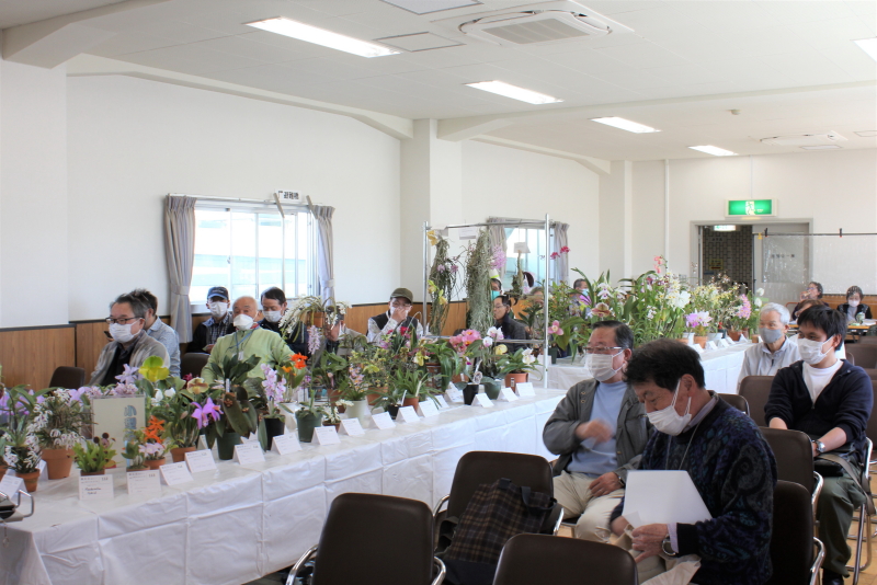 久しぶりの例会風景