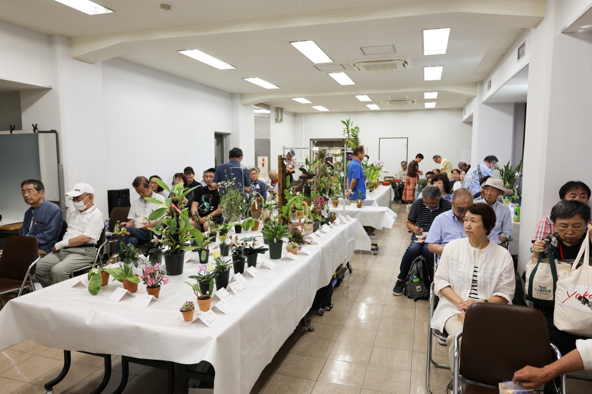 開会直後参会者の様子