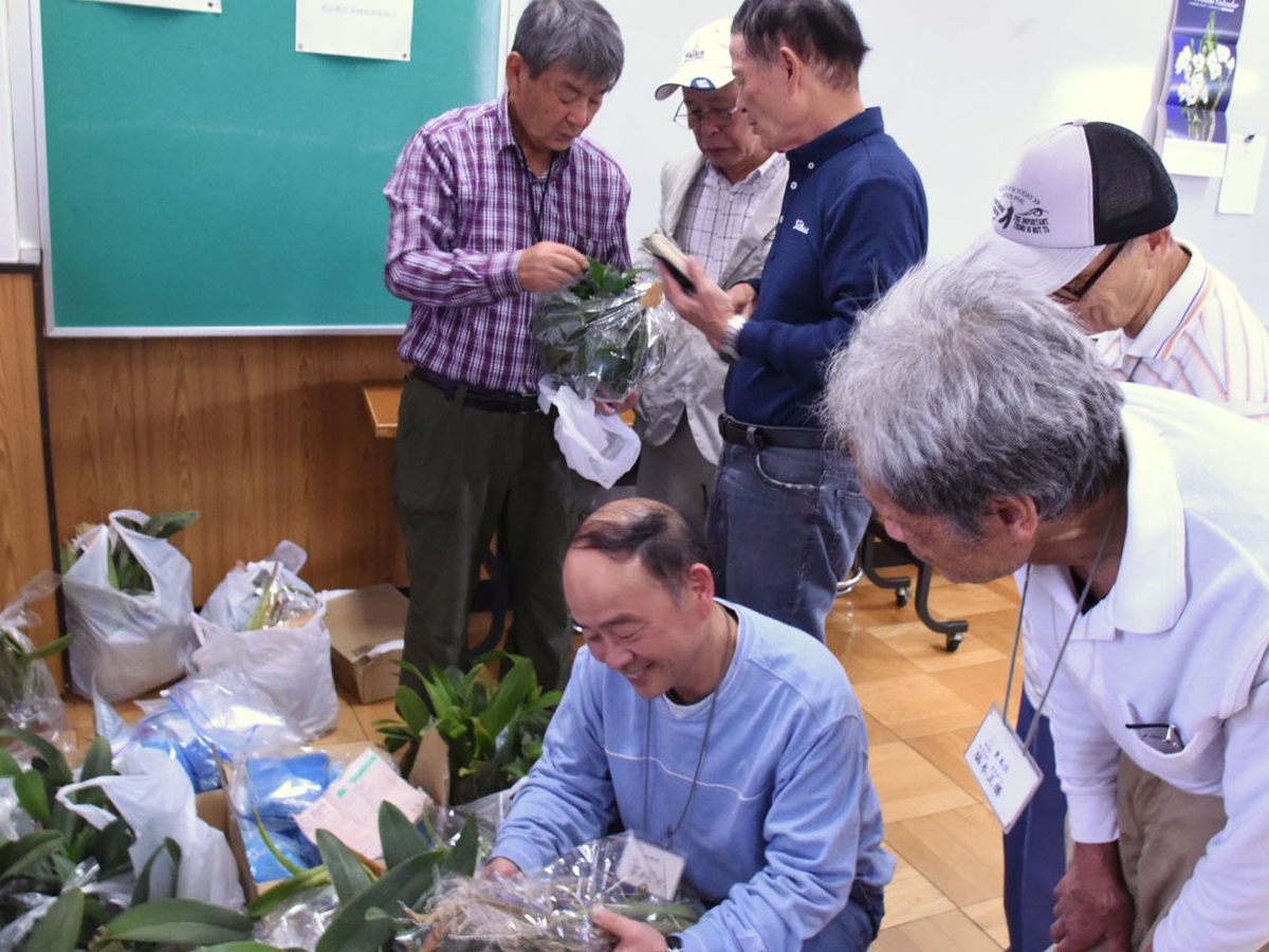 株市出品花の品定め