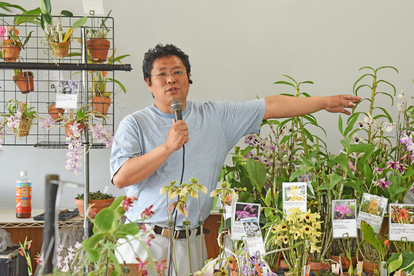 デンドロビウムの講演をする河村氏