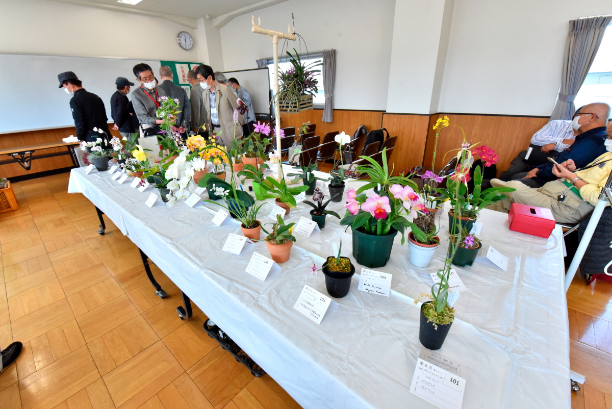 小型株展示コーナー