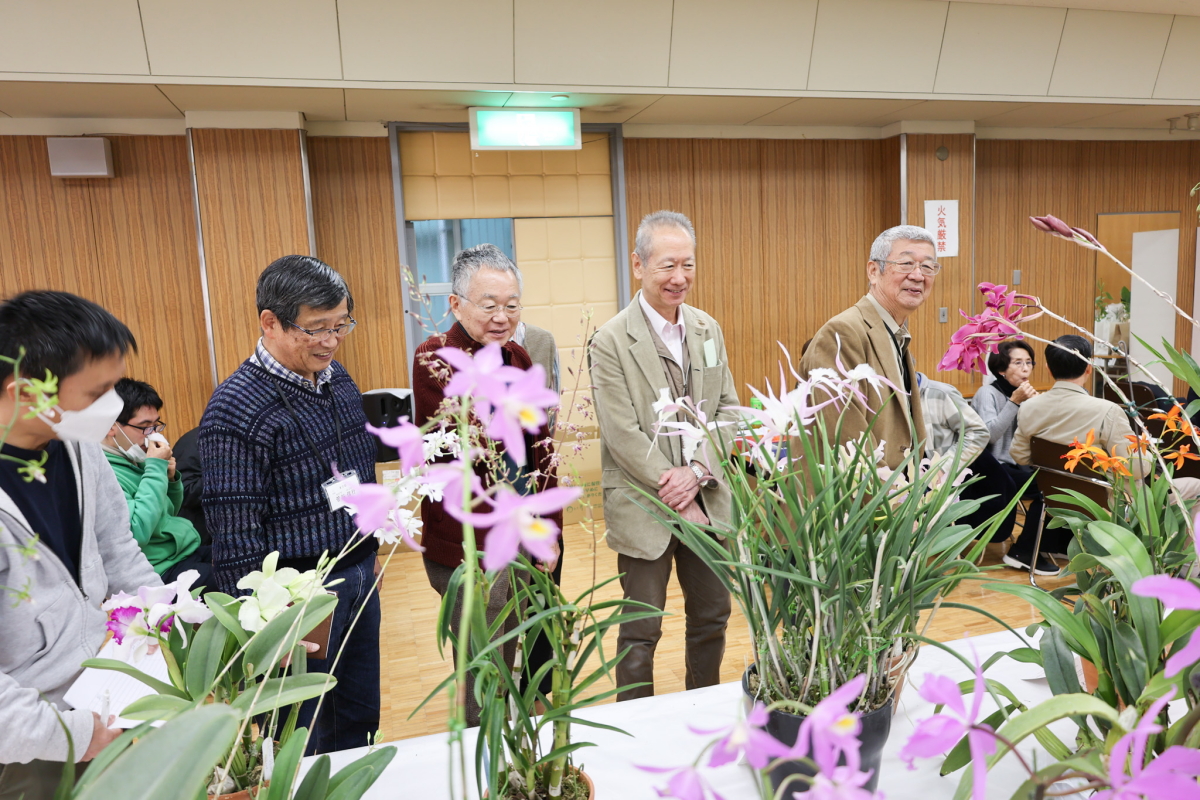 特別審査の様子