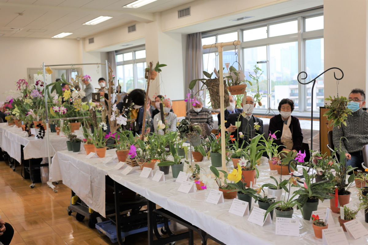 各委員会報告の会場2