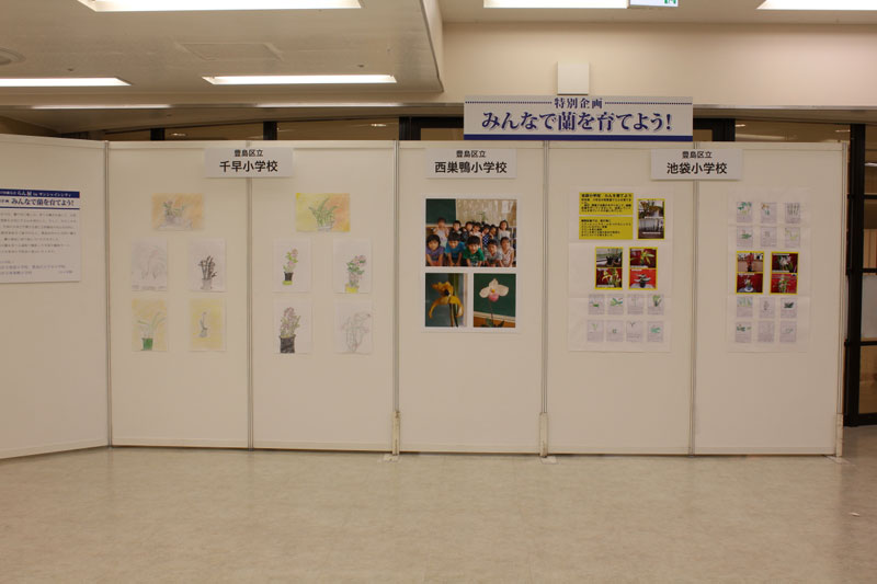 豊島区の小学生による蘭栽培記録の展示