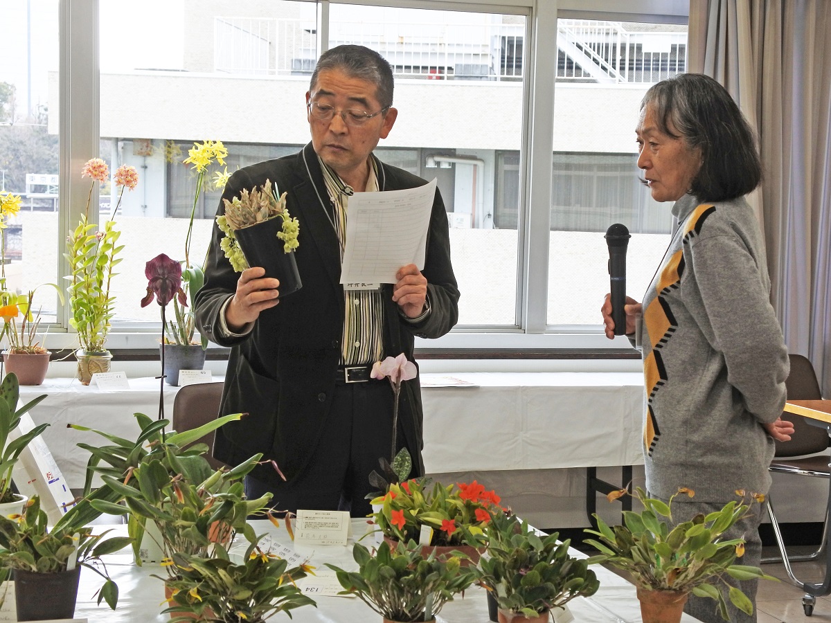 入賞花の解説-花房氏