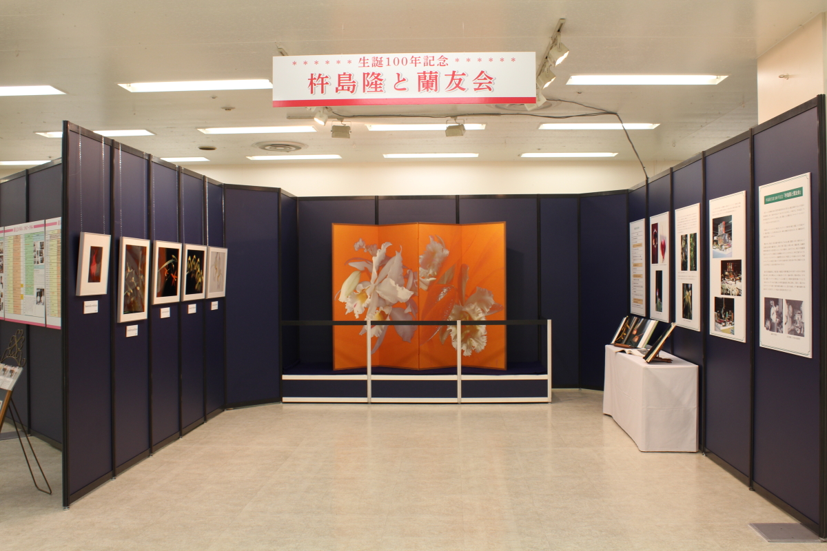 企画展示「杵島隆と蘭友会」