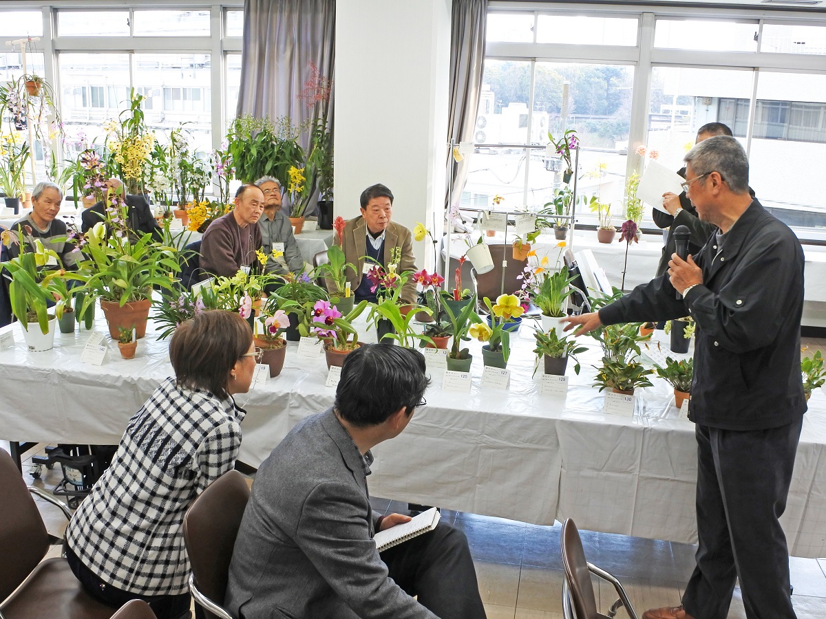 入賞花の解説-清水会長