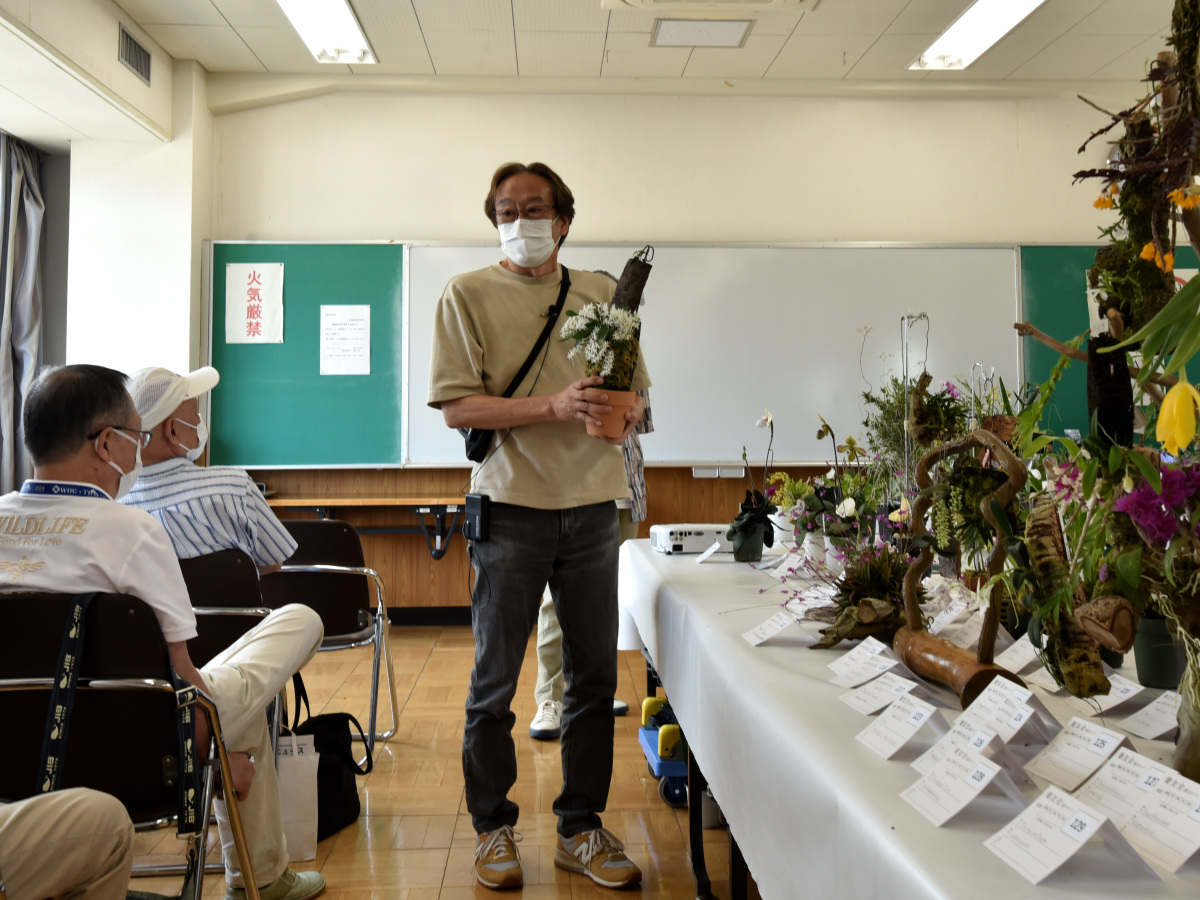 国際園芸合田氏入賞花解説