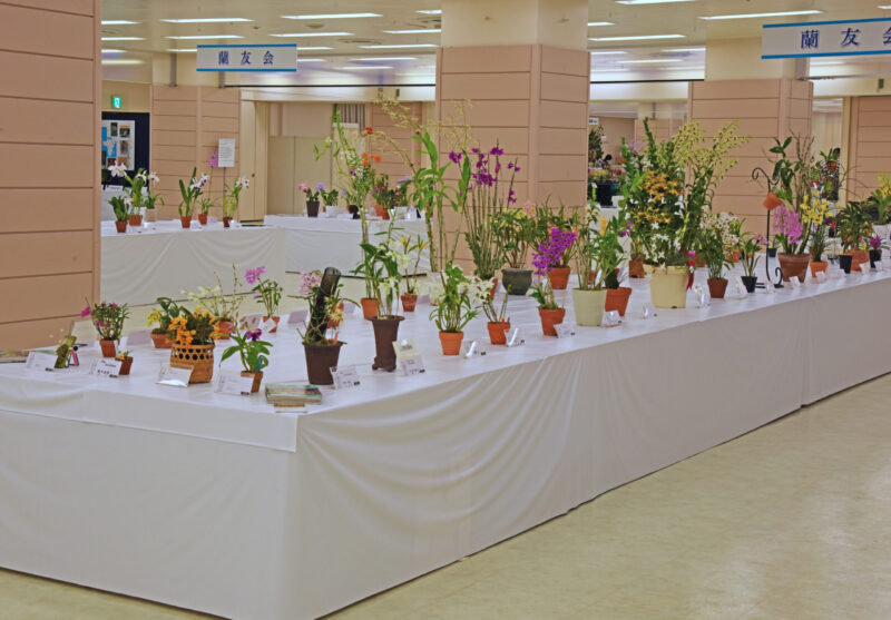 蘭友会展示コーナー