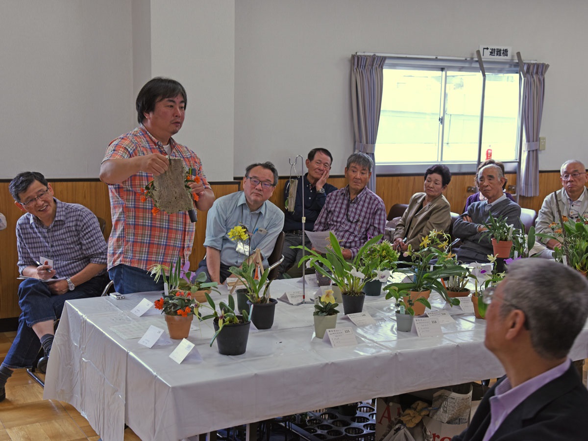 榊原氏による品種解説