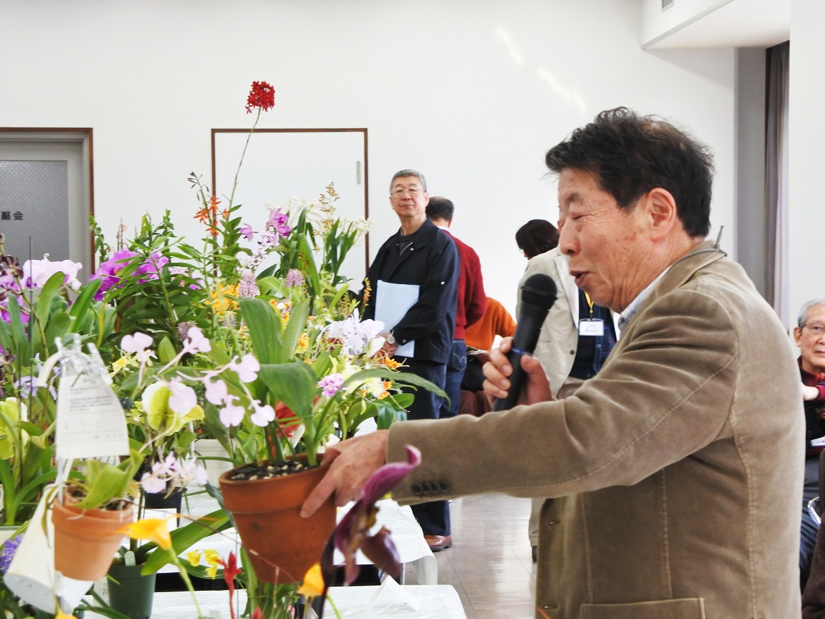 入賞花の解説-中村氏