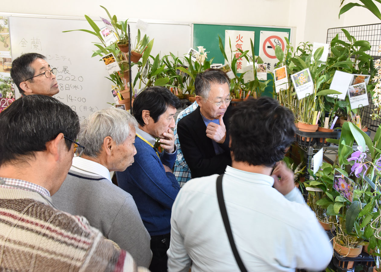 やまはる園芸の出張店舗で品定め