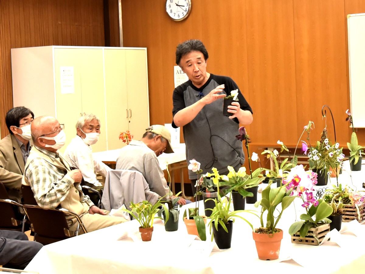 雨宮氏品種解説