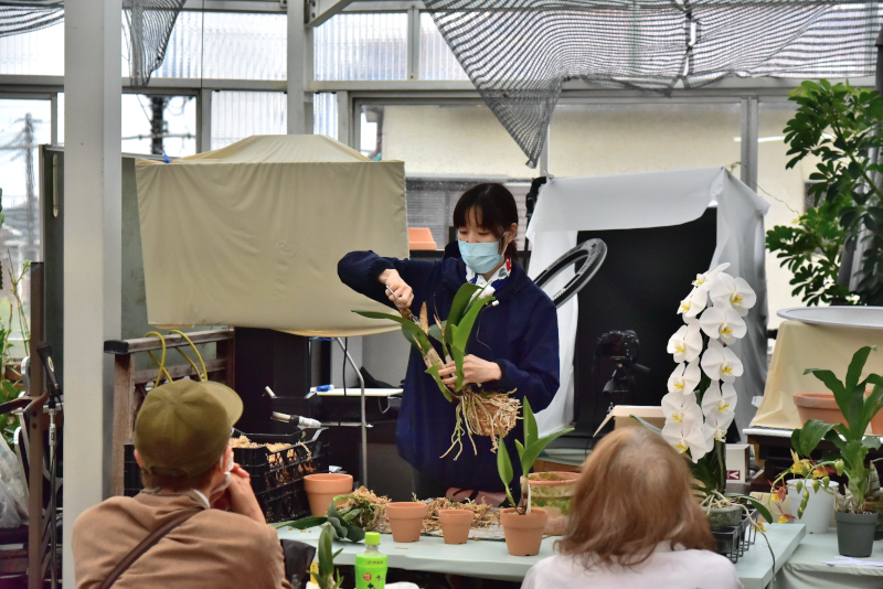 福田さんの植え替え講習会b