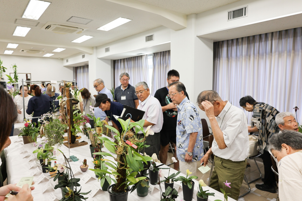 人気投票の様子2