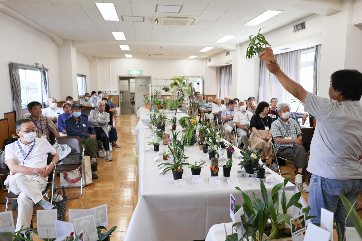 株市の様子2