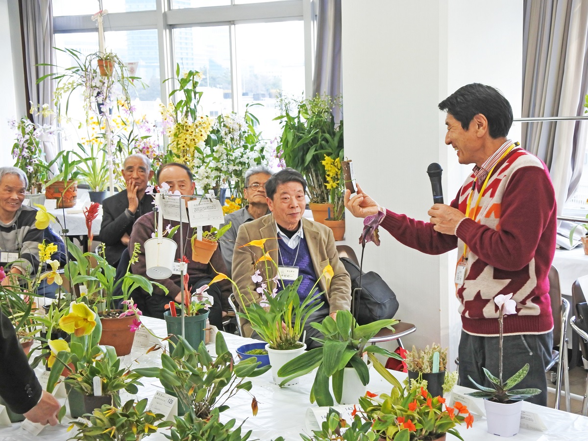 「入賞花の解説-冨澤氏