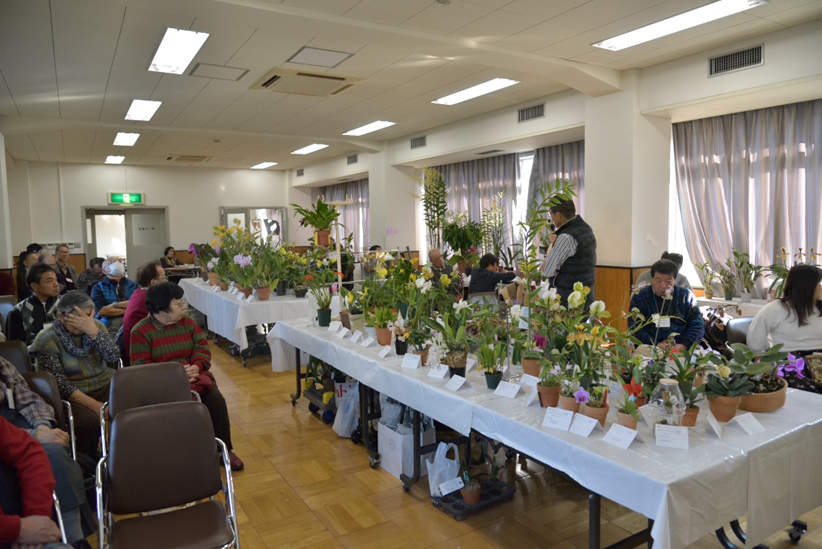 小型株から大型株までたくさん集まった