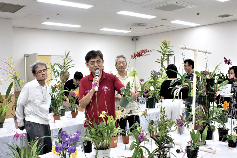 望月氏の展示株の解説