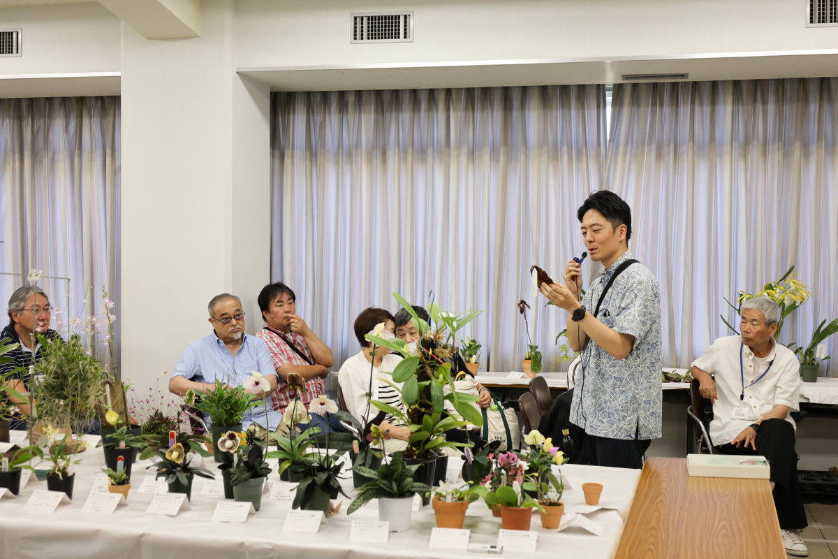 合田氏の展示株解説1