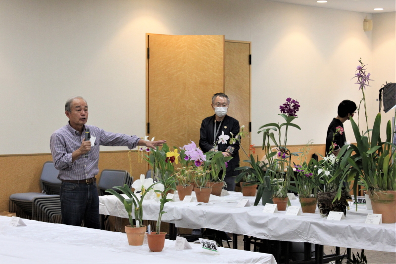 大場氏の展示花解説