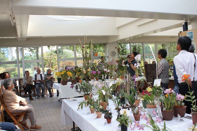 展示会場の木場公園ミドリアム