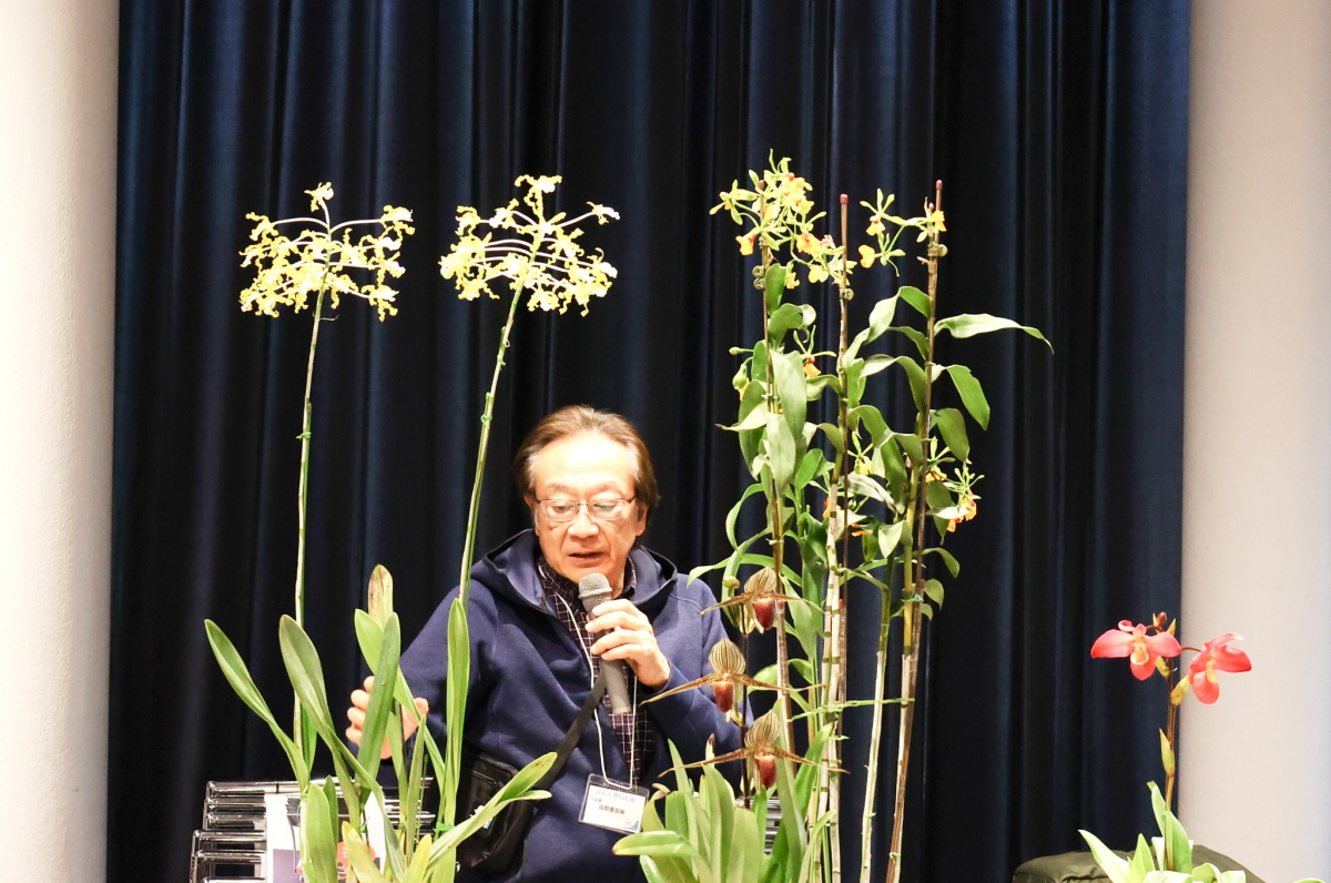 合田氏の入賞花解説