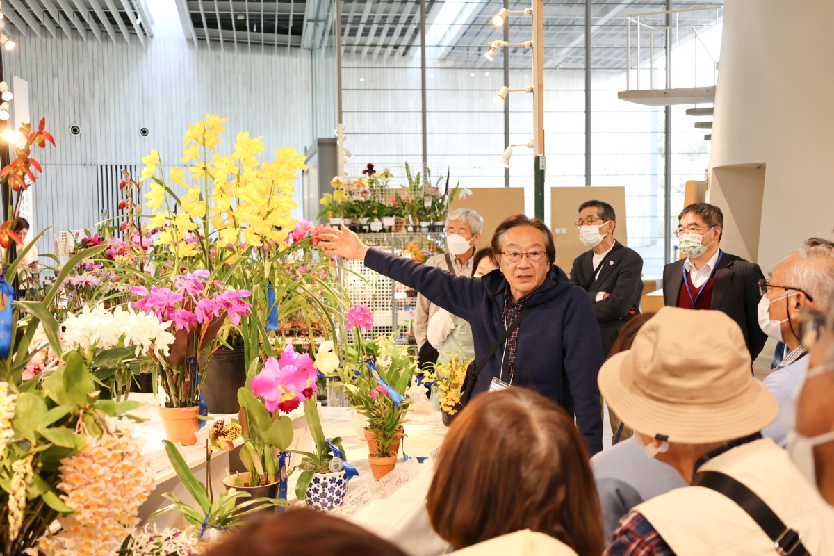 合田氏のらん展入賞花解説２