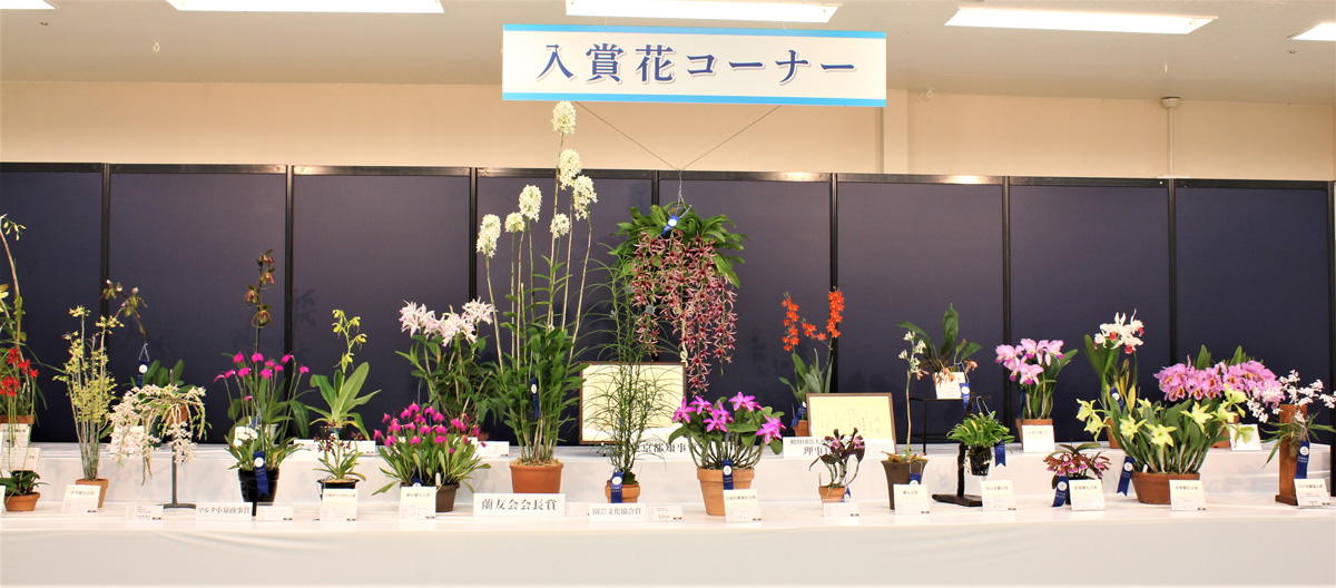 入賞花の展示コーナー