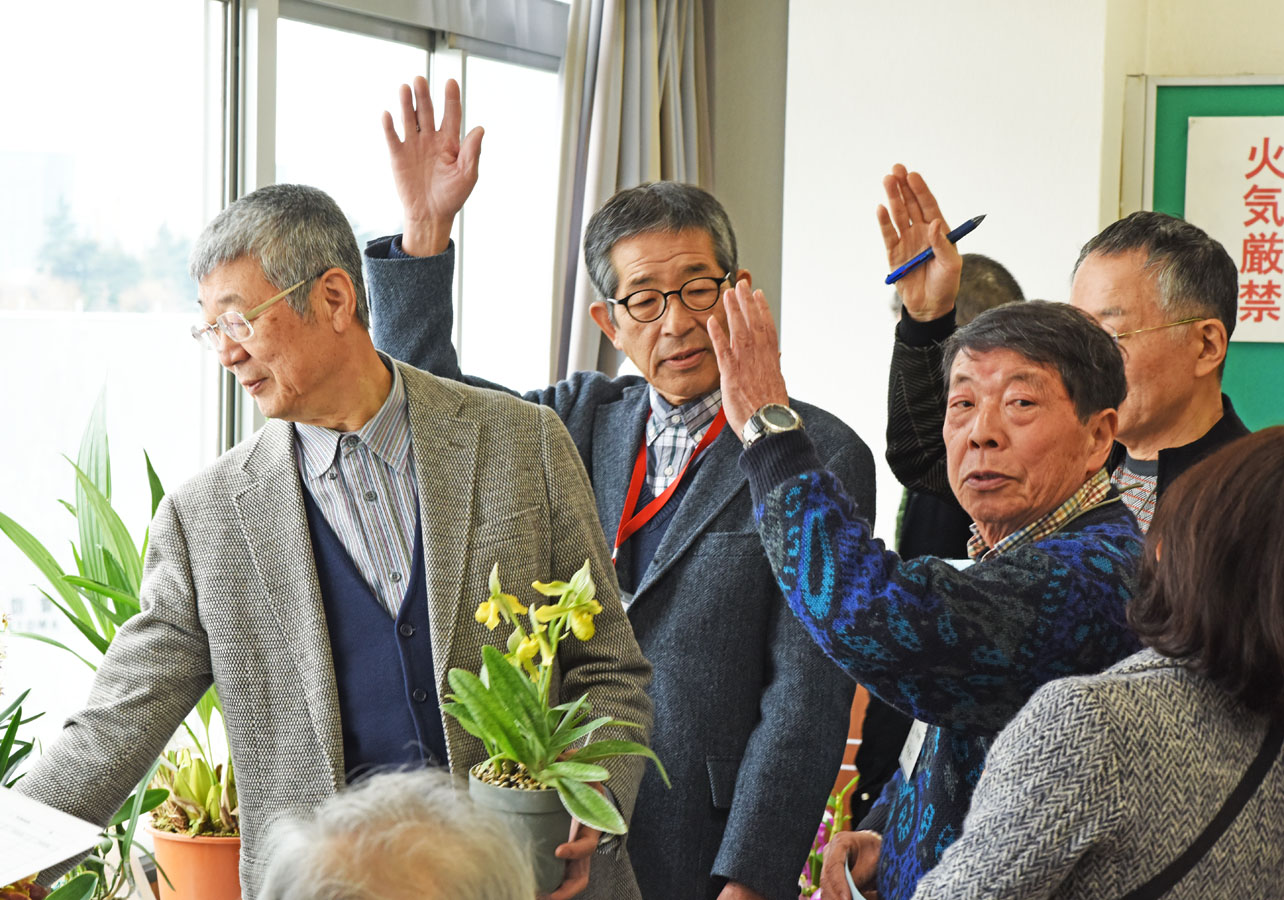 審査風景　GC株の審査の様子