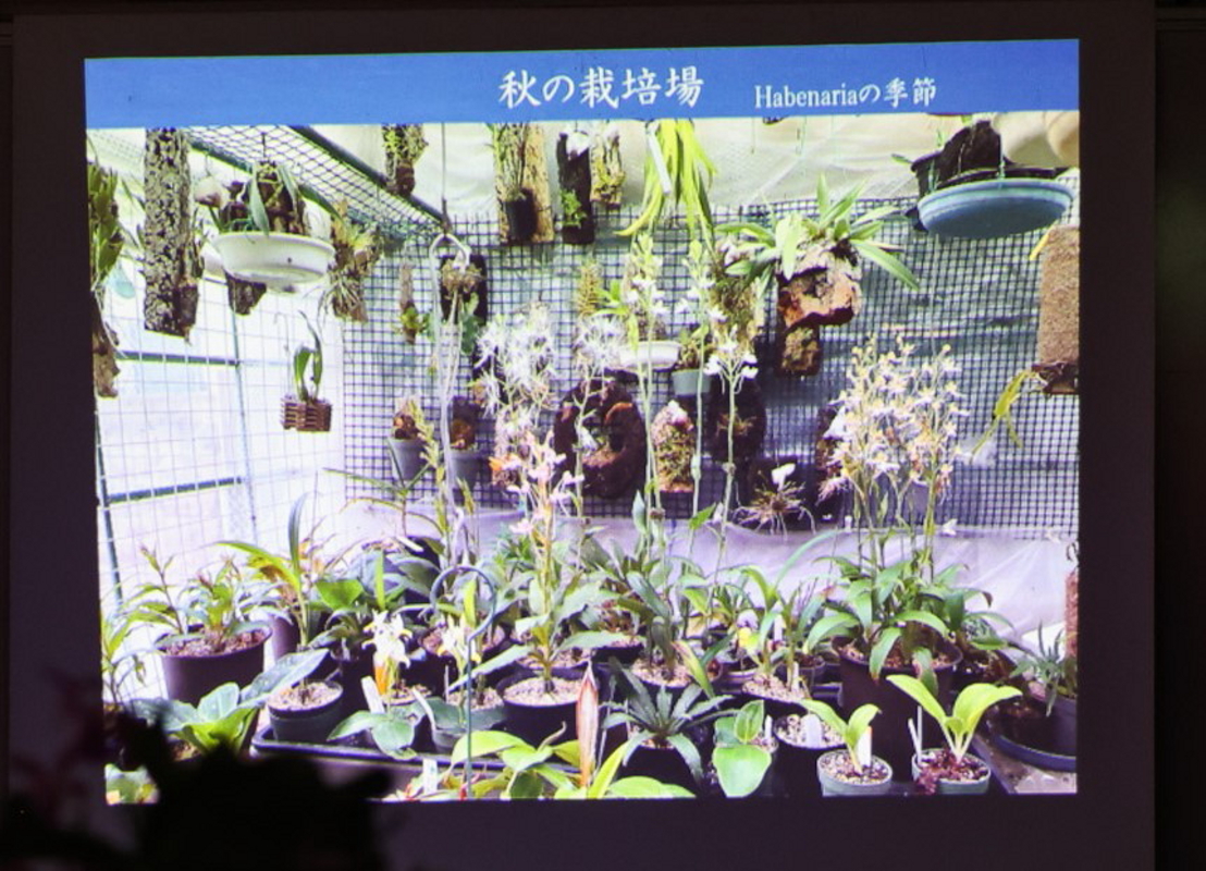 武井氏講演スライドの一コマ