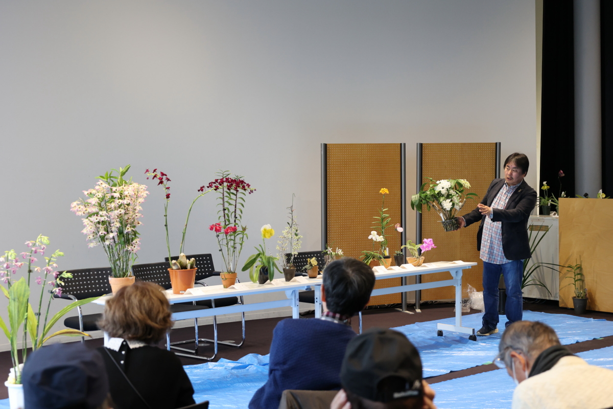 榊原氏の人気投票入賞花解説