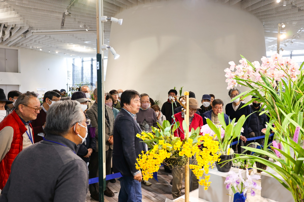 榊原氏のjogaらん展入賞花解説2
