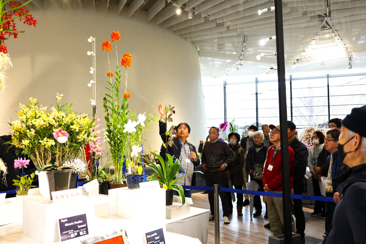 榊原氏のjogaらん展入賞花解説1