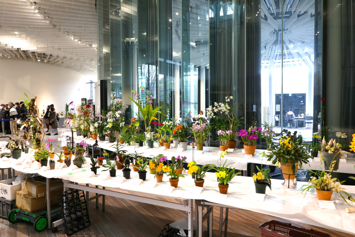 出品花展示コーナー3