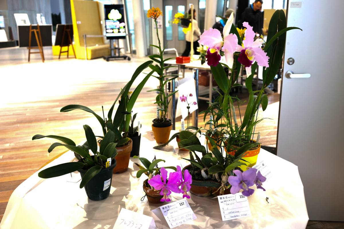グロワーズ＆フレグランス展示