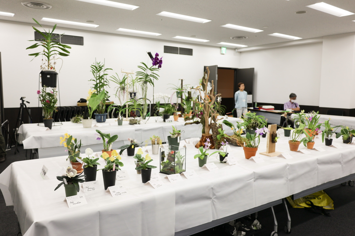 小型株展示コーナー１