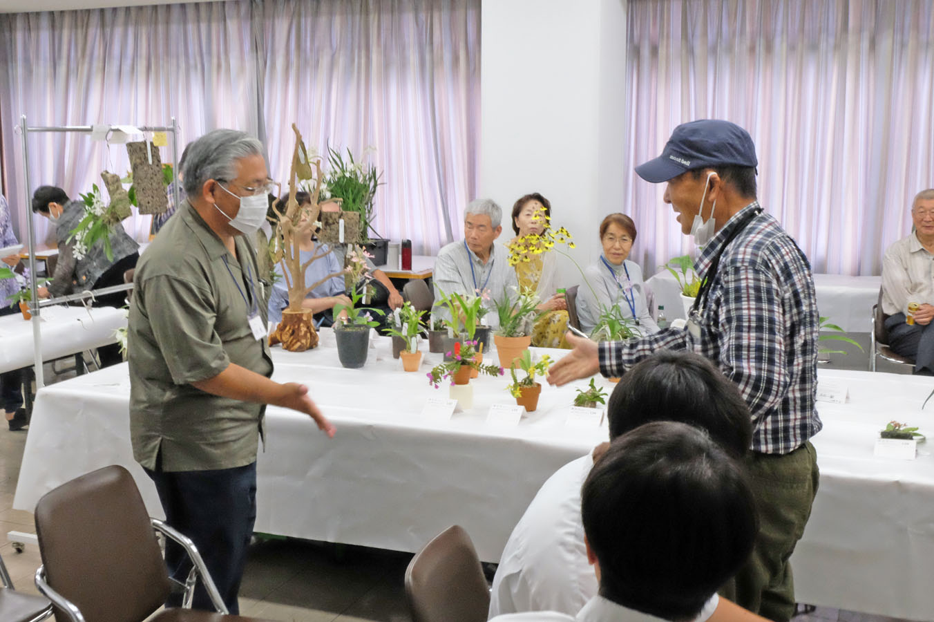 株市・じゃんけんで落札者を決める